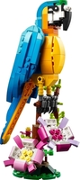 31136 1